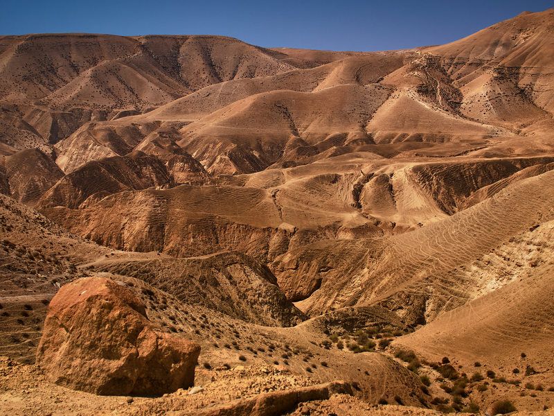 The Judaean Desert фото превью