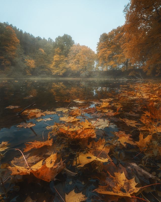 Любимое время года фото превью