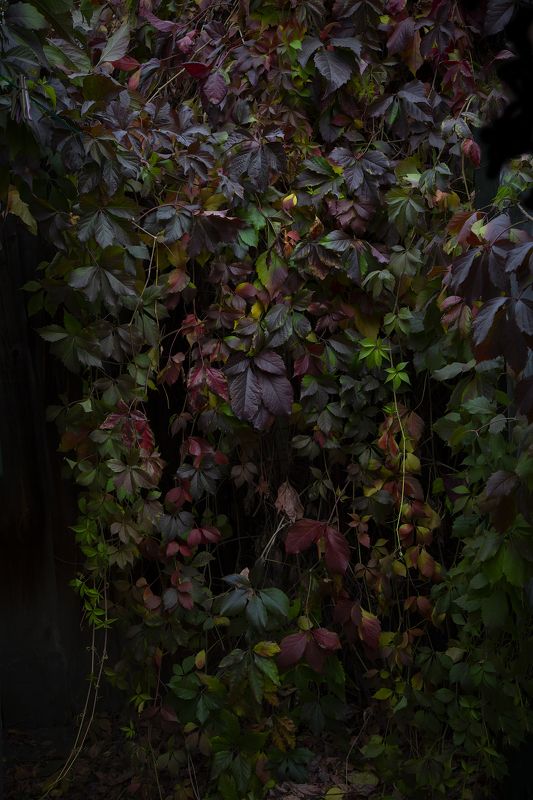 Сентябрь фото превью