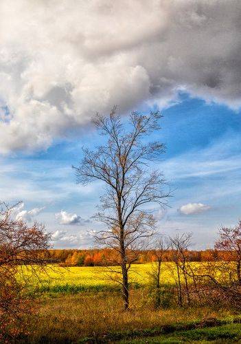 Краски осени