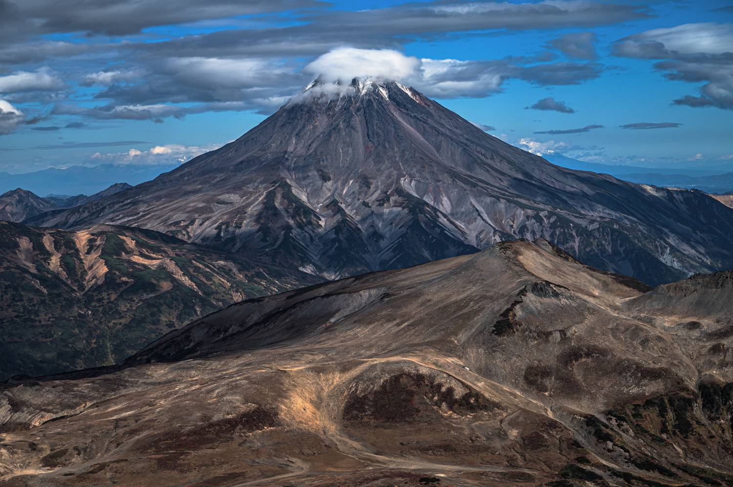 , Александр Мухин