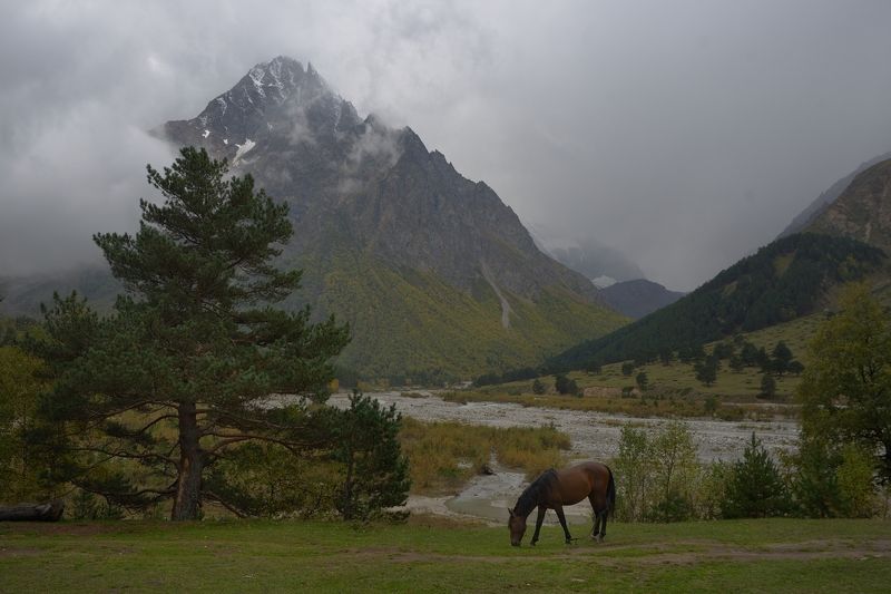 Осень в Чегемском ущелье фото превью