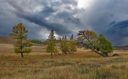 Перед дождем