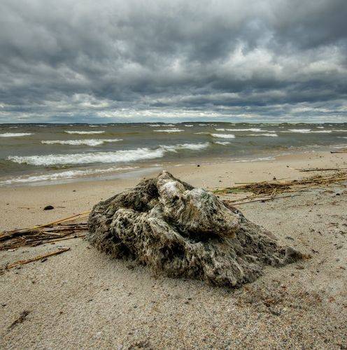 Волнение и спокойствие