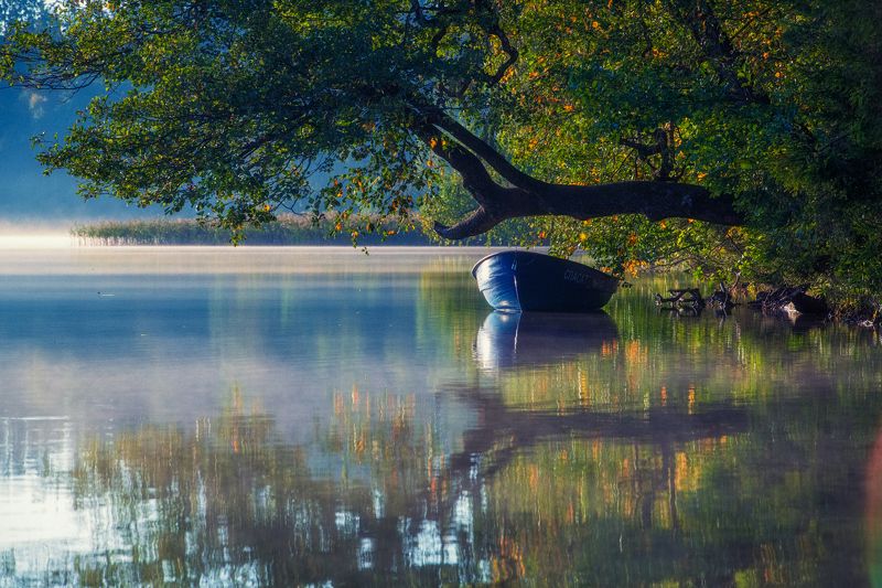 На рассвете фото превью