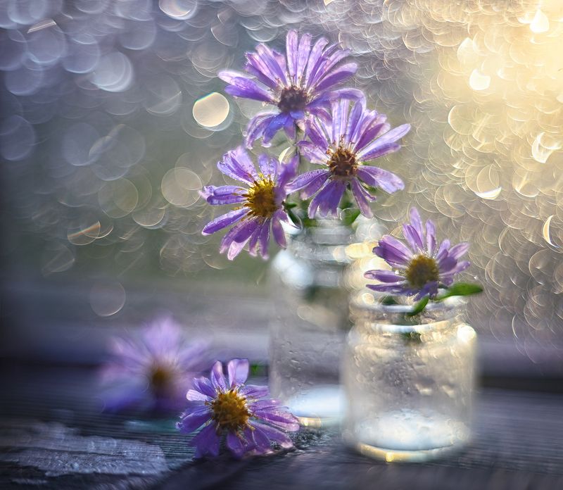 Splashes of light фото превью