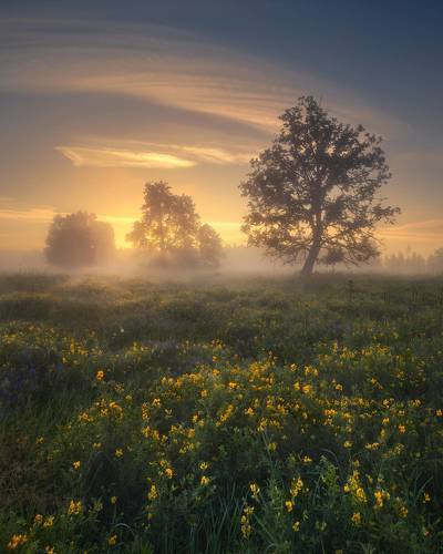 at sunrise