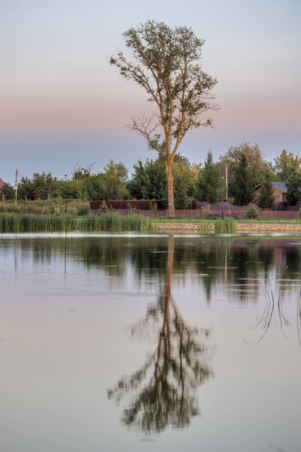 , Шурчков Юрий