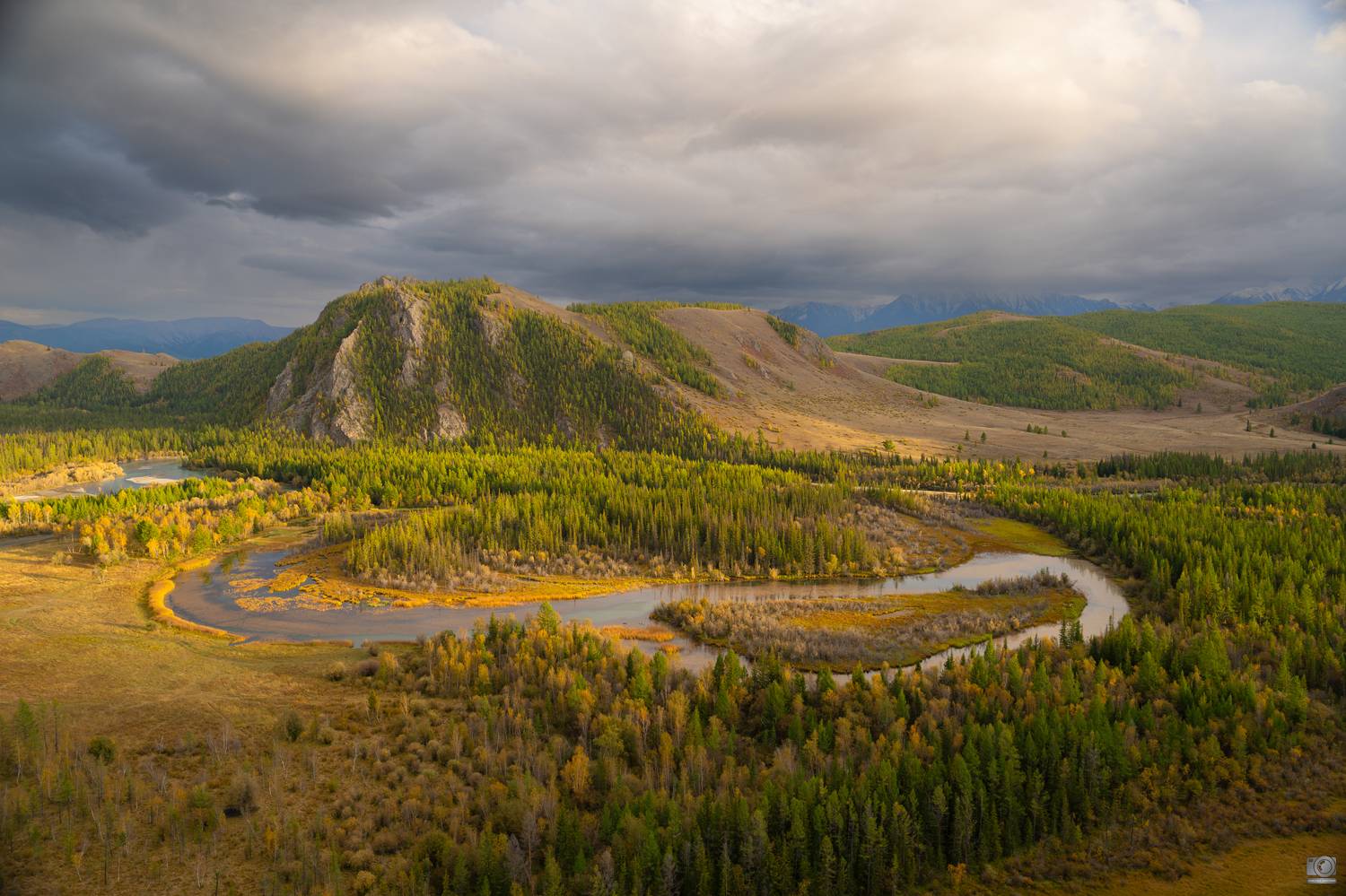 чуя, алтая, Ковалев Дмитрий