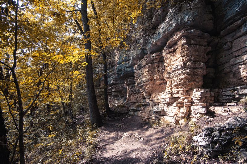 Придуманная осень фото превью