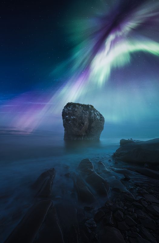 кольский полуостров, кольский, осень, северное сияние, полярное сияние, autumn, kola peninsula,  forest, aurora borealis Белое море фото превью