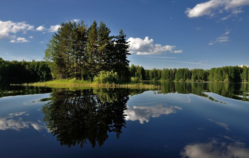 *** фото превью