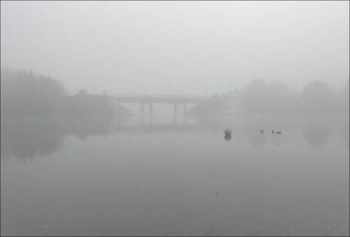 Утренний туман