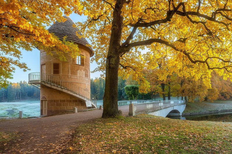 Золотая осень в Павловском парке. фото превью