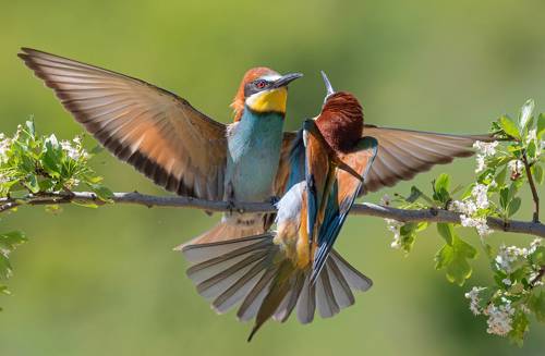 Ты будешь моей