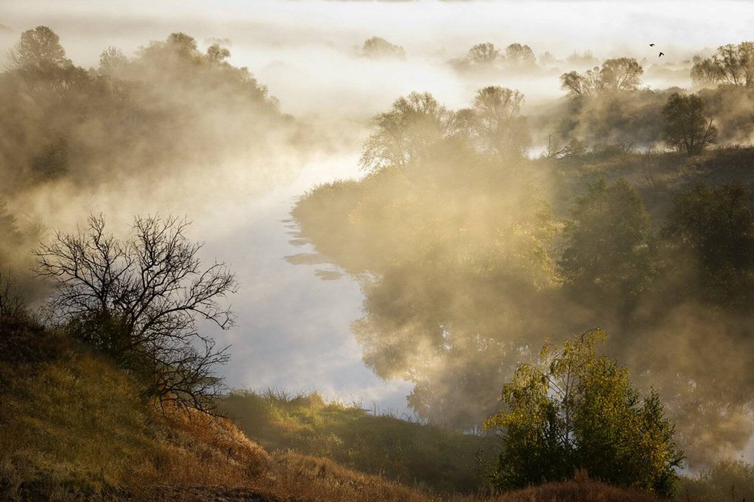 , Юрий Сорокин