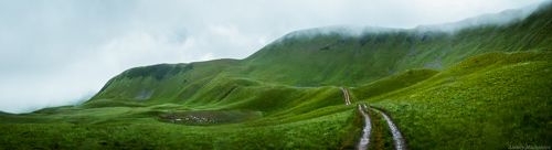 Дождливая Догяска