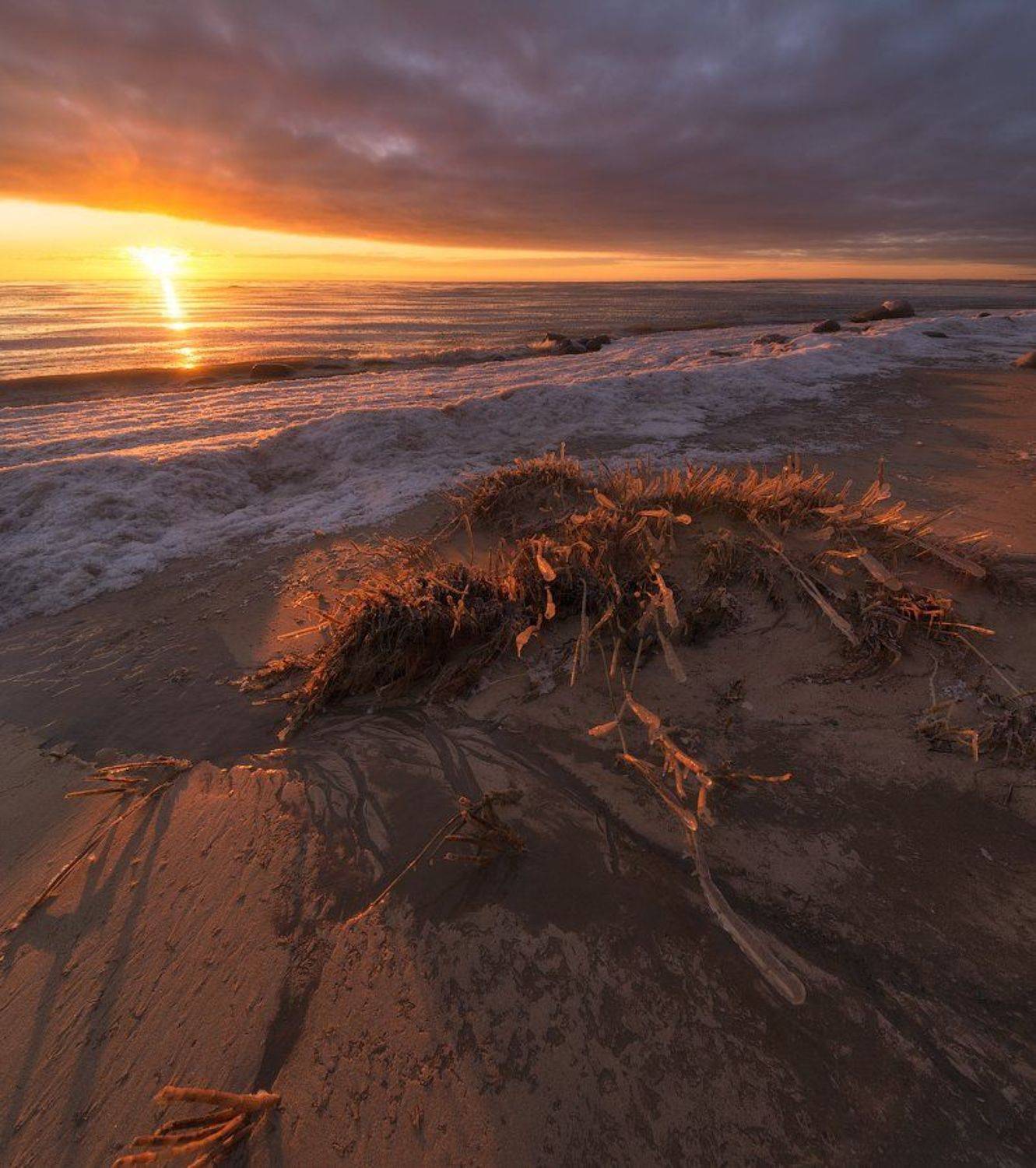 пейзаж, финский залив, закат, Михайлов Иван