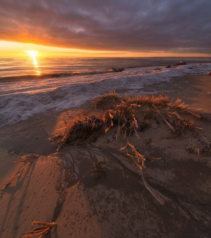 пейзаж, финский залив, закат Обледенелые фото превью