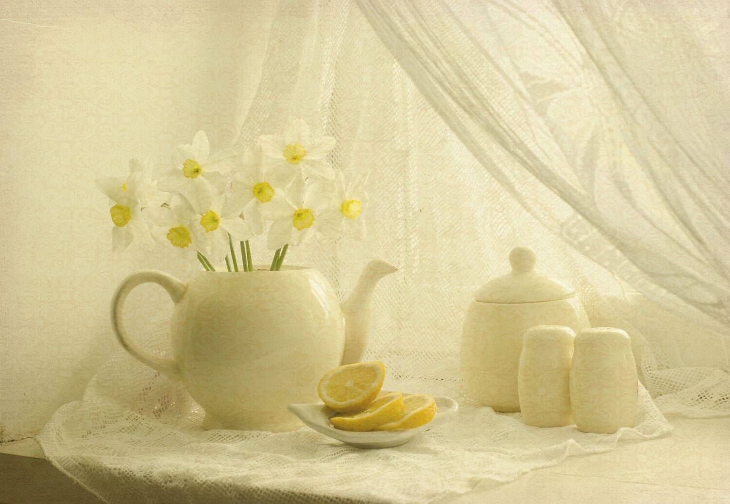 , Синегубова Ольга