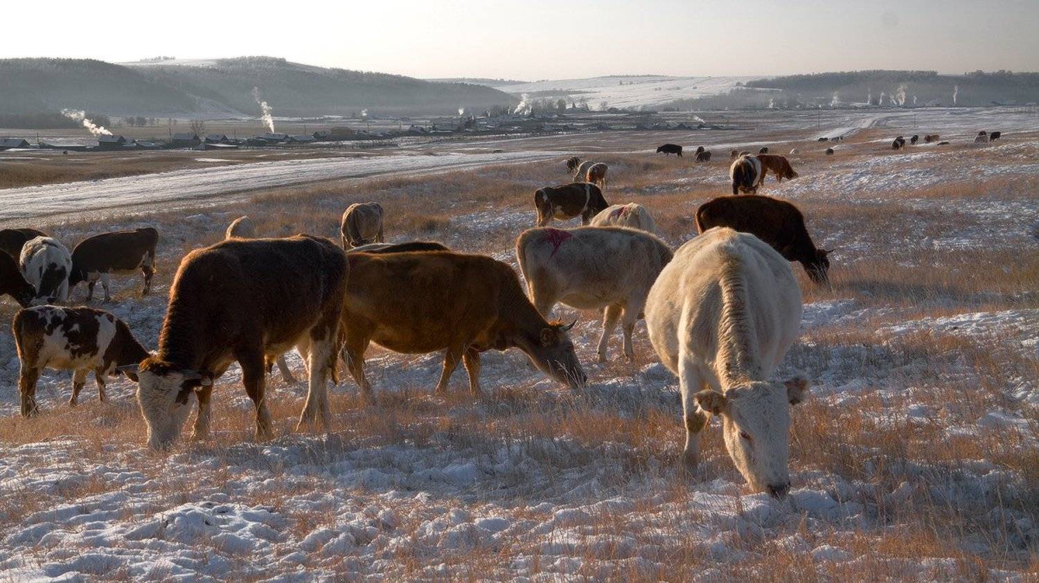 , Николай Морский