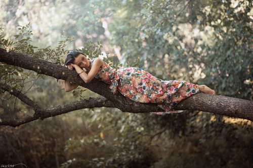 Dreams...