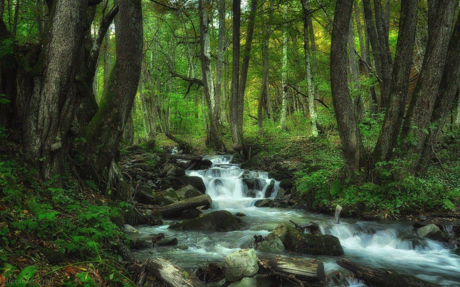 кавказ, красная поляна, Александр Круль