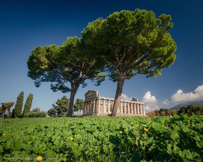 italy, paestum, ancient, autumn, city, column, pine, ruin, stone, tree, италия, пестум, город, дерево, древний, камень, колонна, осень, развалина, руина, сосна Руины Посейдонии фото превью