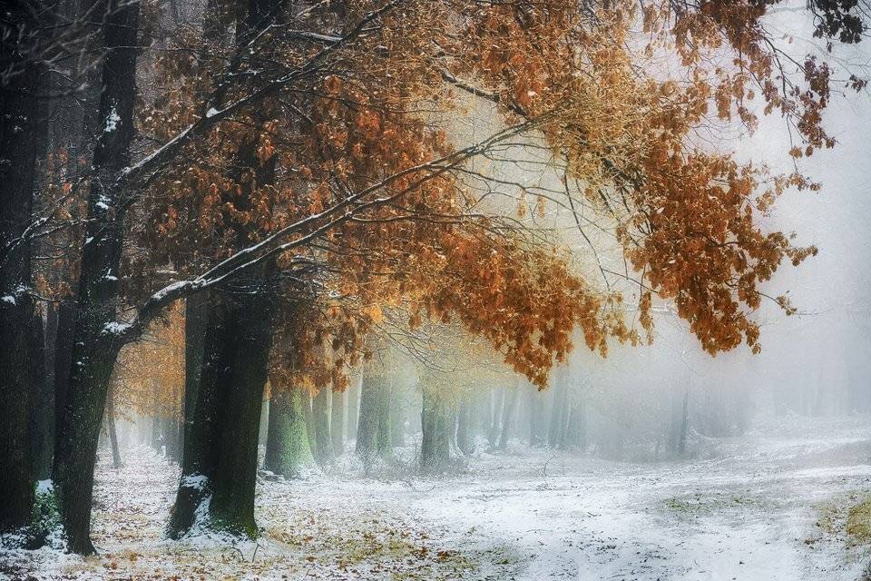 , Stefan Chirobocea