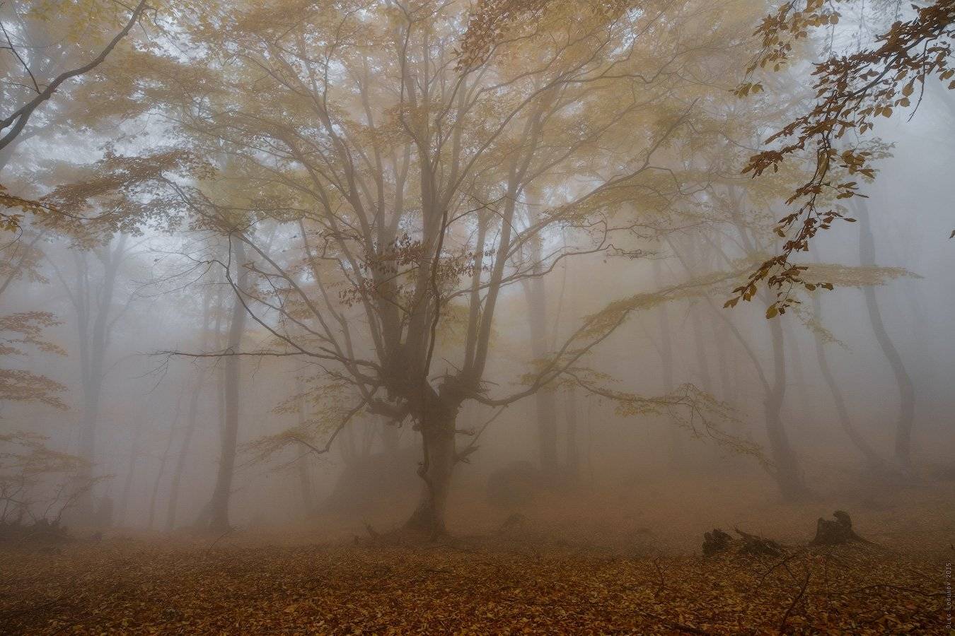 , Олег Логунов