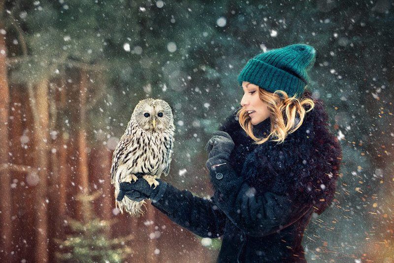 Девушка, лес, сова, снег, зима 2015 фото превью