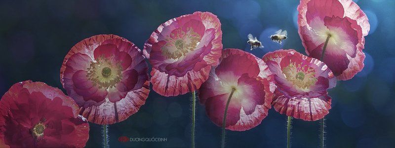 Colico фото превью