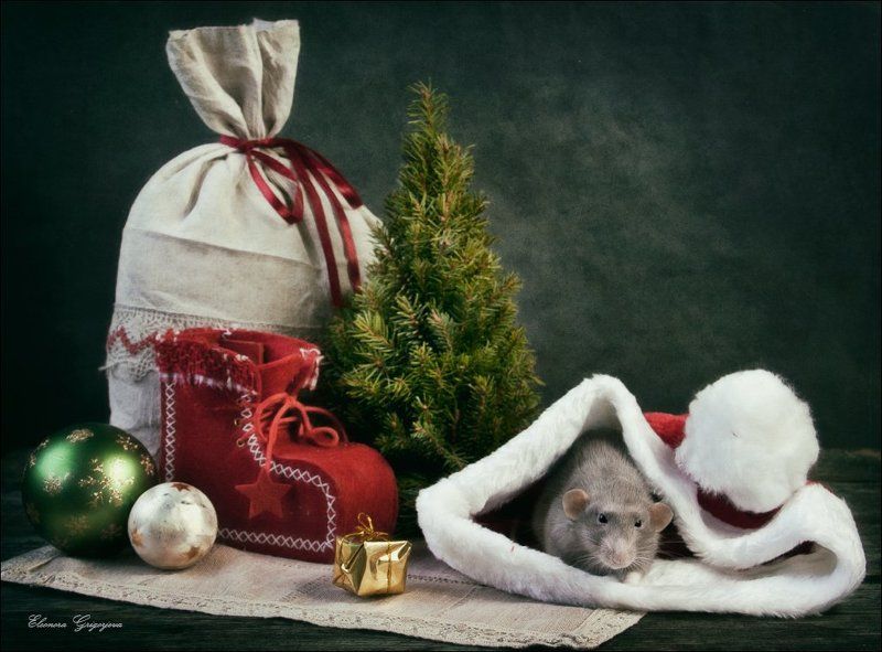 дамбо, крыса, новый год, подарки, поздравления С Новым годом! фото превью