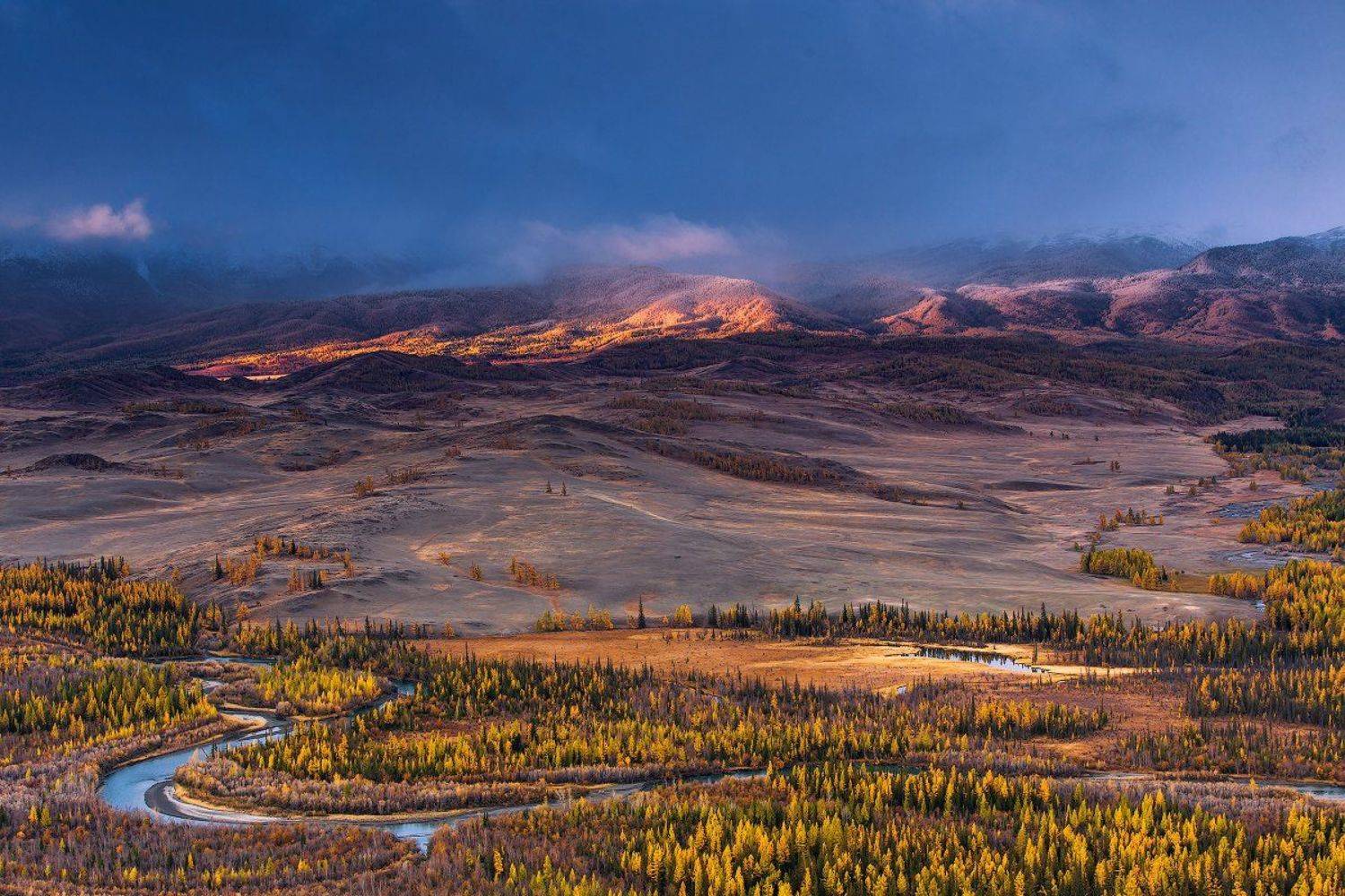 , Кочетков Евгений