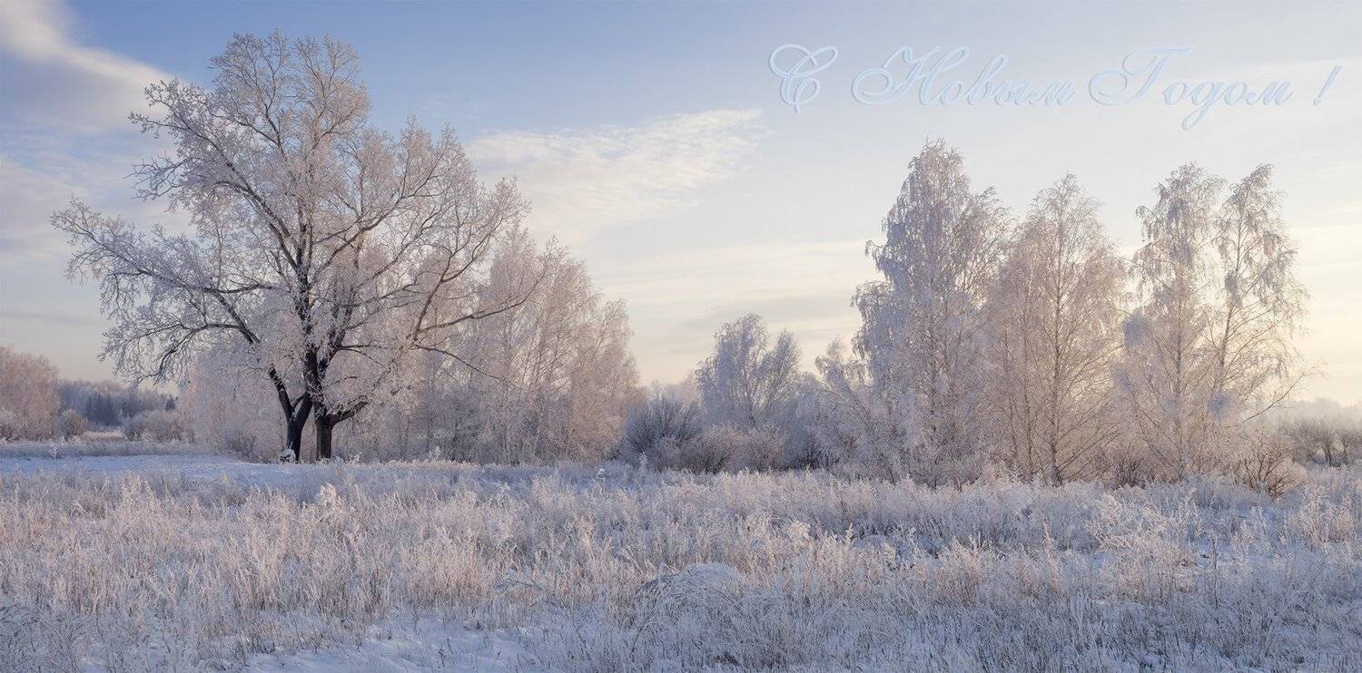 , Лещёнок Александр