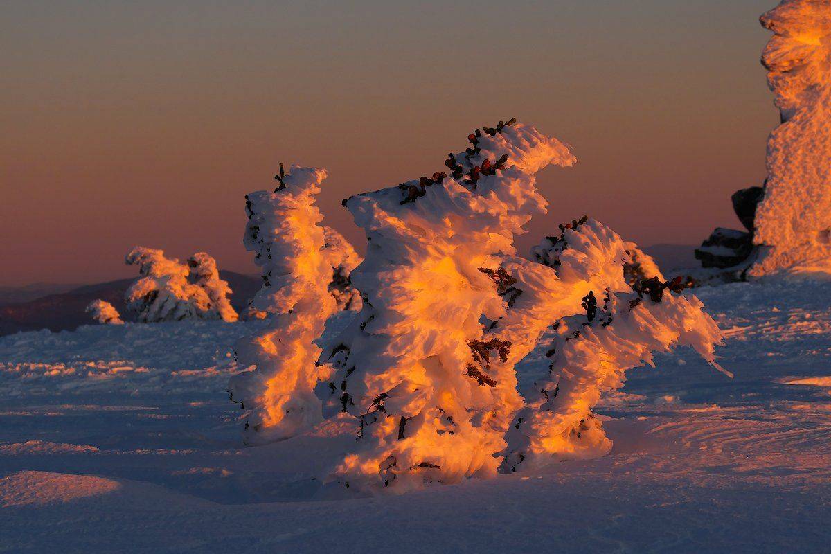 Горная Шория, Новый год, Розовый вечер, Сибирь, Шерегеш, Валерий Пешков