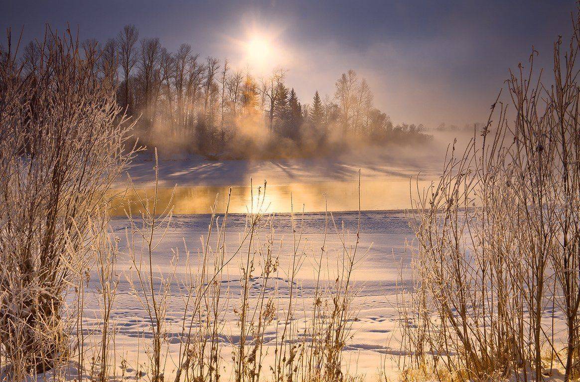 , Николай Морский