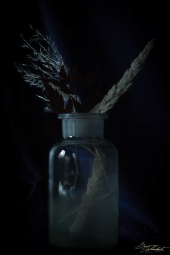 Цвет небесный