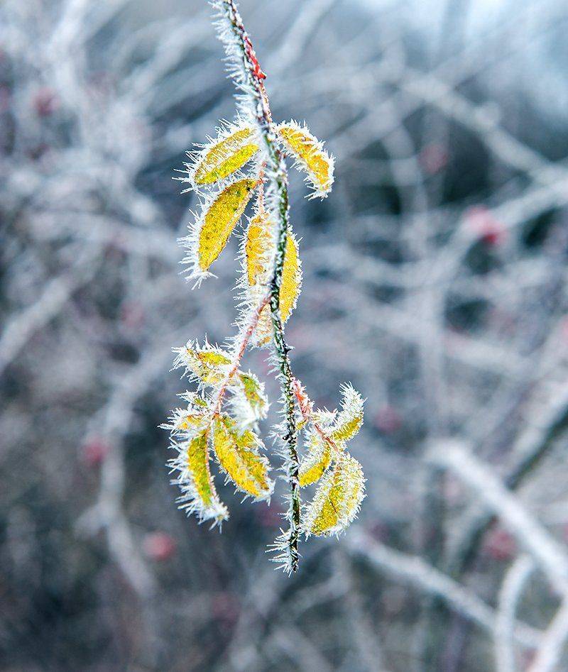 , Валерий Смирнов