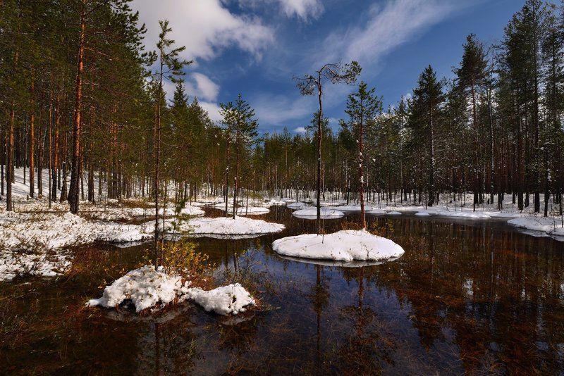*** фото превью