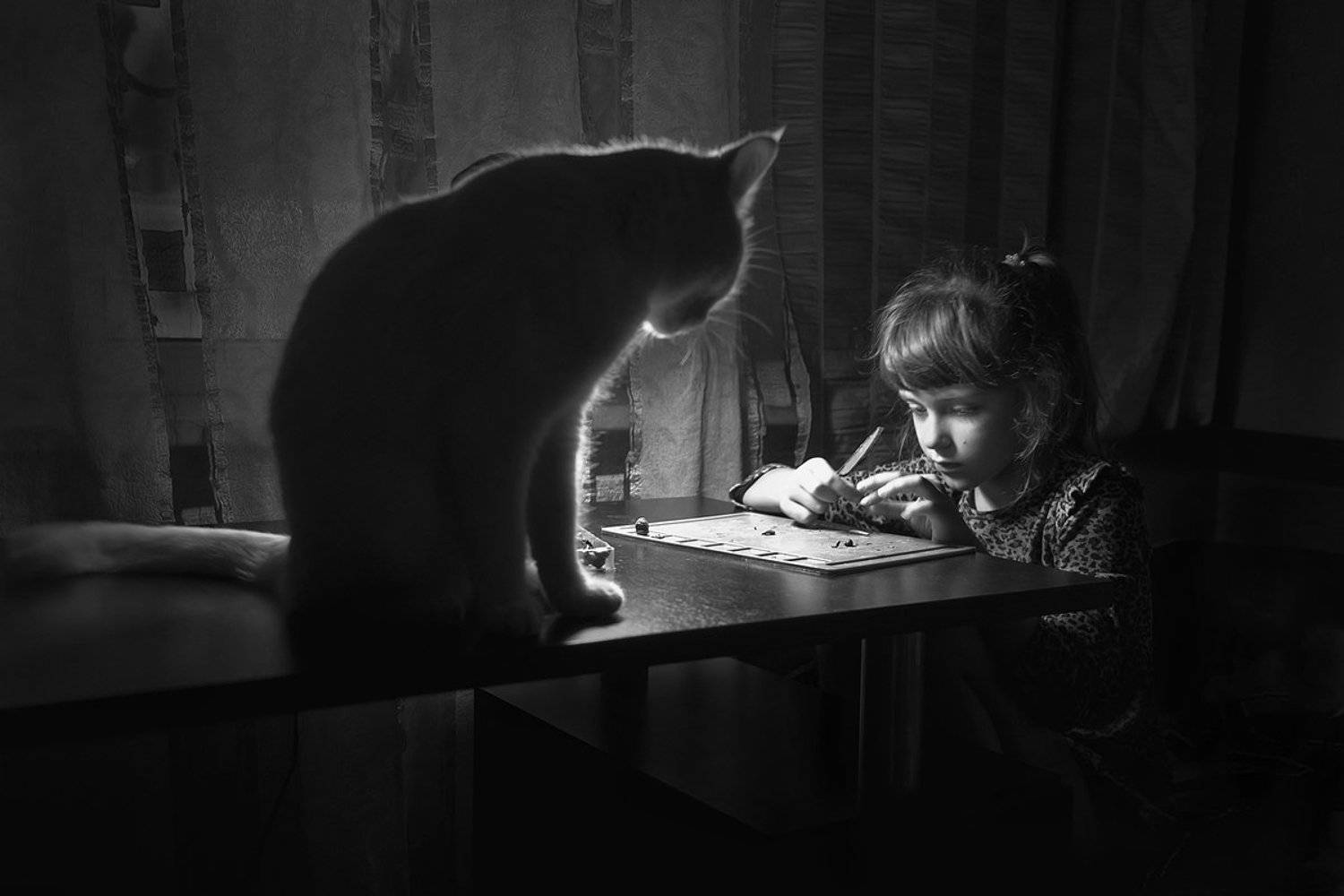 , Сидоренко Алексей