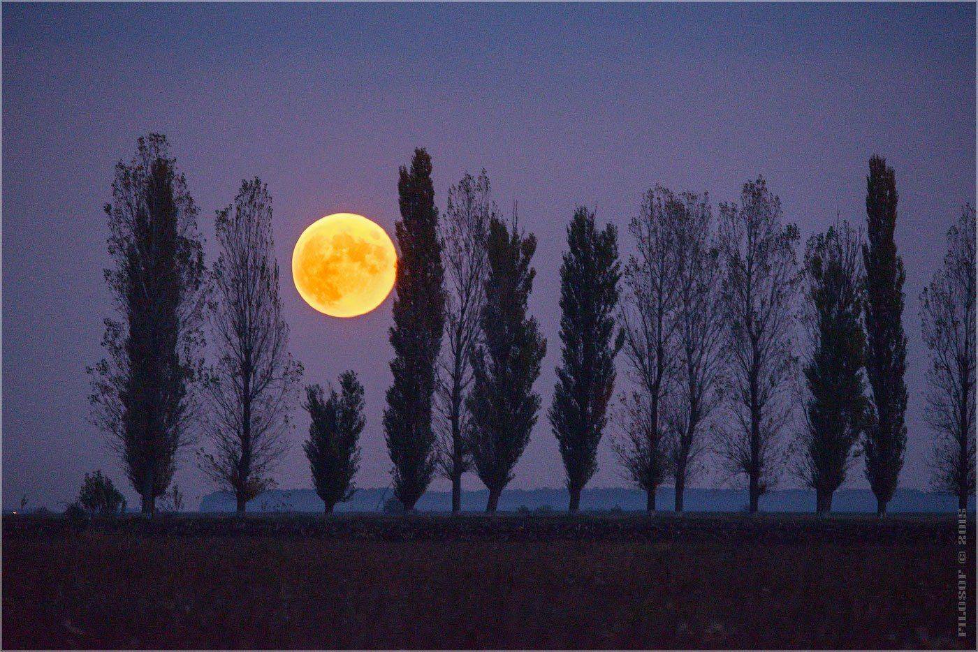 , Геннадий FILOSOF Шатов