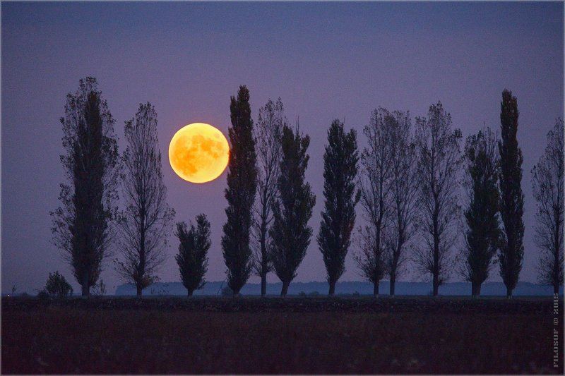 Пятница 13е фото превью