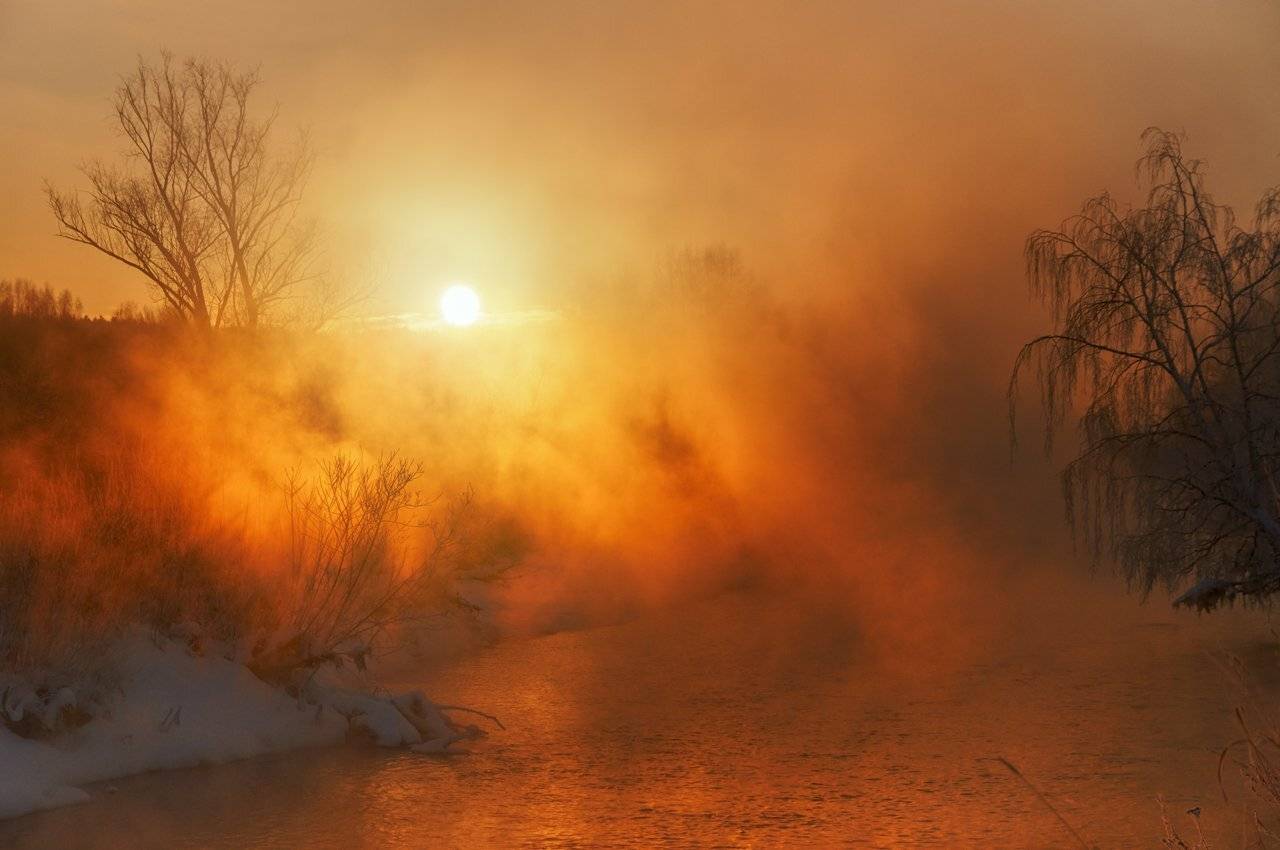 , Олег Богданов