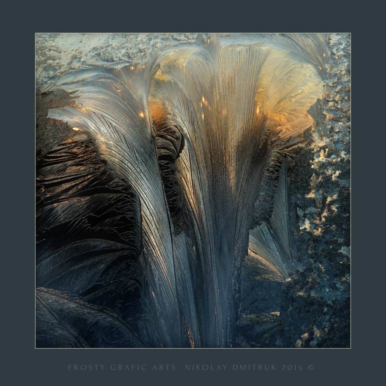 Мороз, Музыка, Природа, николай дмитрук