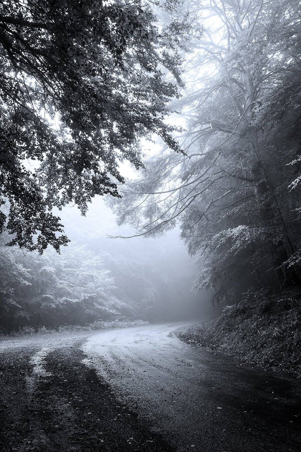 , Antonio Cantabrana