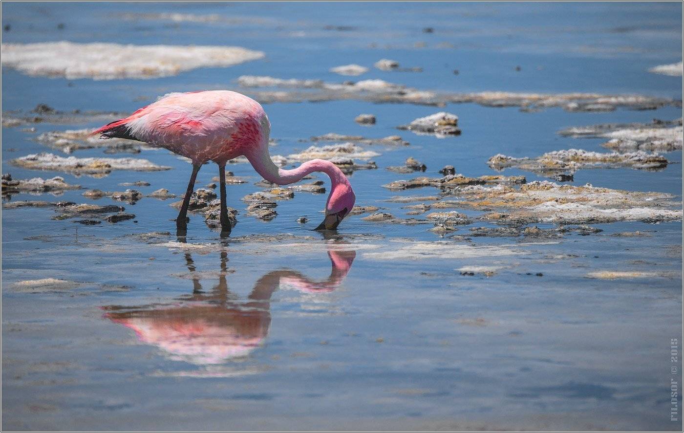 , Геннадий FILOSOF Шатов