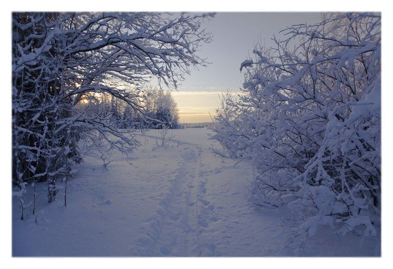 ... фото превью