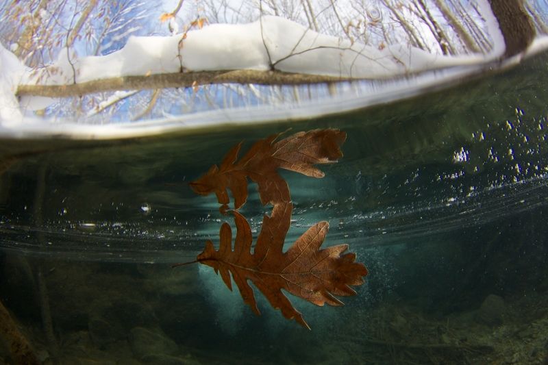 граница, грань, зима, кавказ, лист, осень, подводная съемка, ручей, сплит На грани фото превью