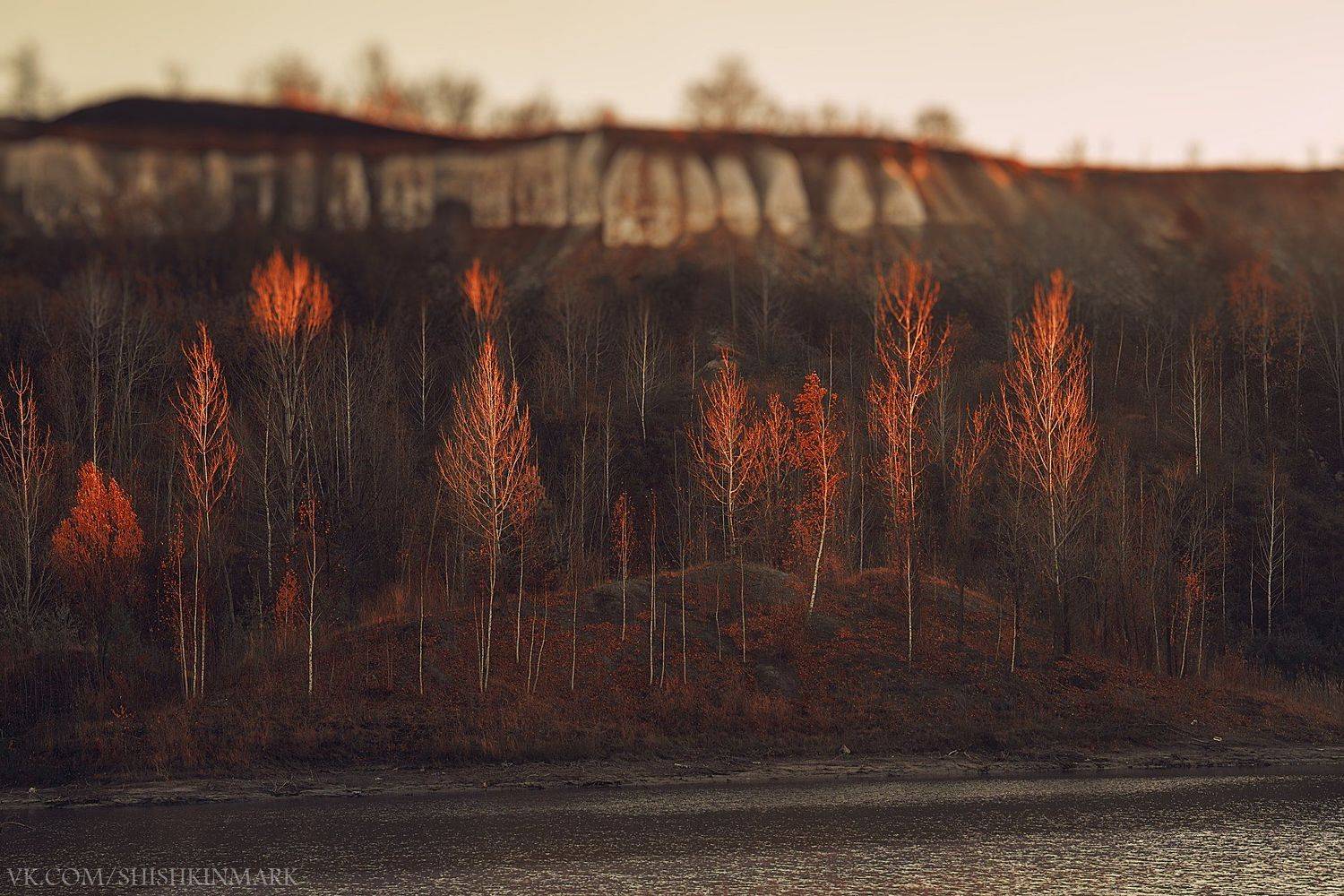 Закат, деревья, озеро, природа, пейзаж, красота, Марк Шишкин